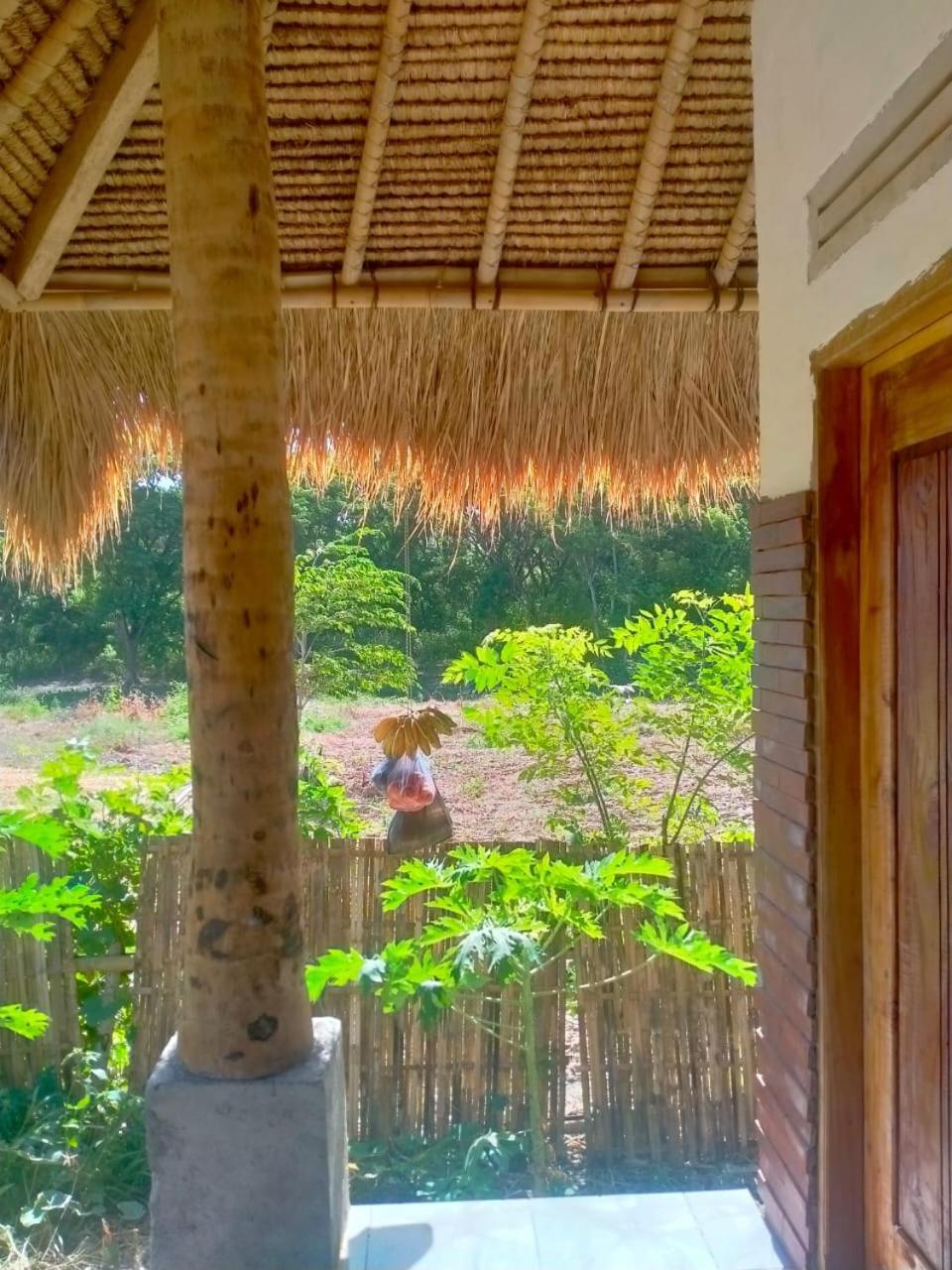 Melody Surf - Ekas Lombok Hotel Buitenkant foto