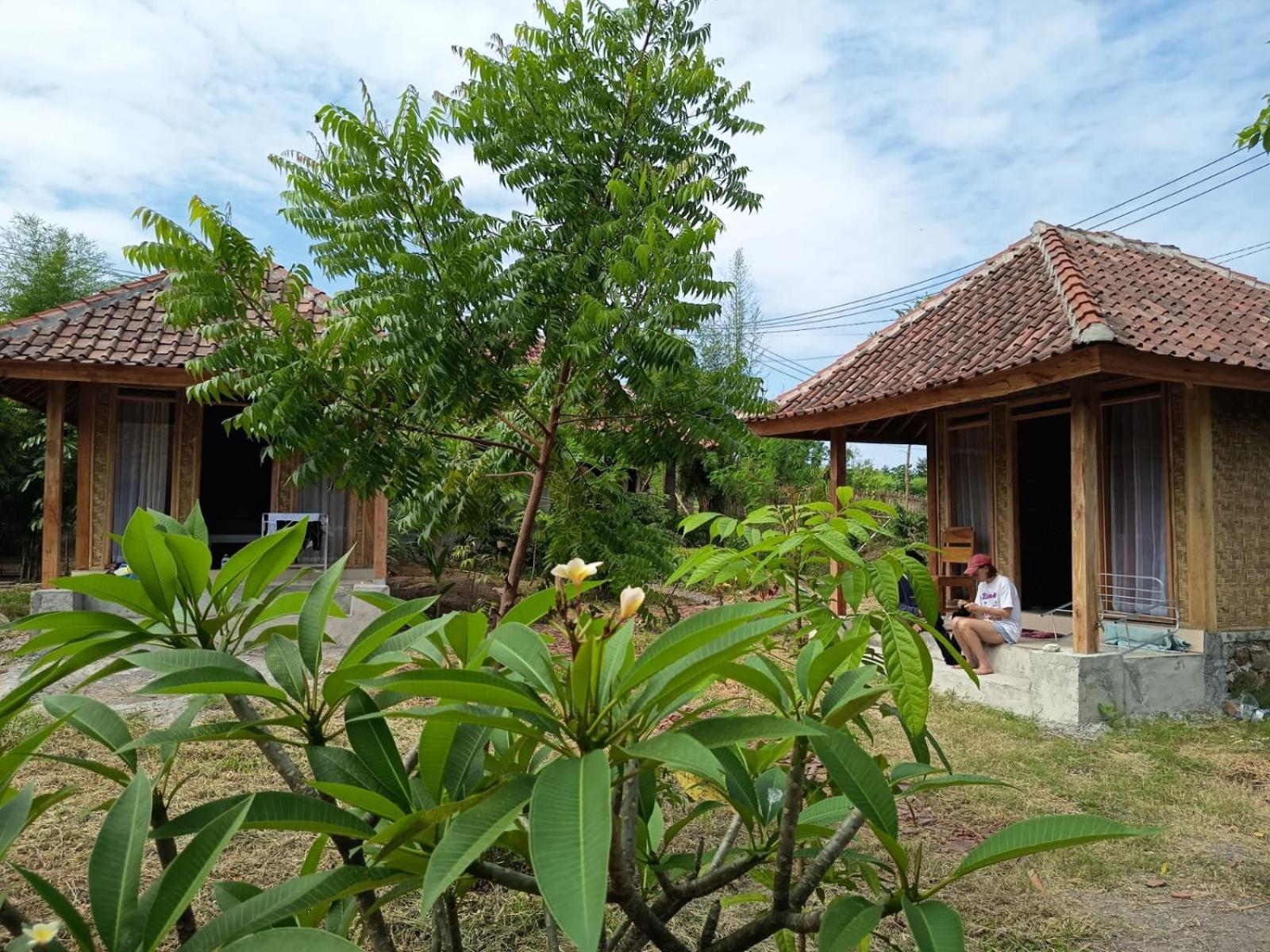 Melody Surf - Ekas Lombok Hotel Buitenkant foto